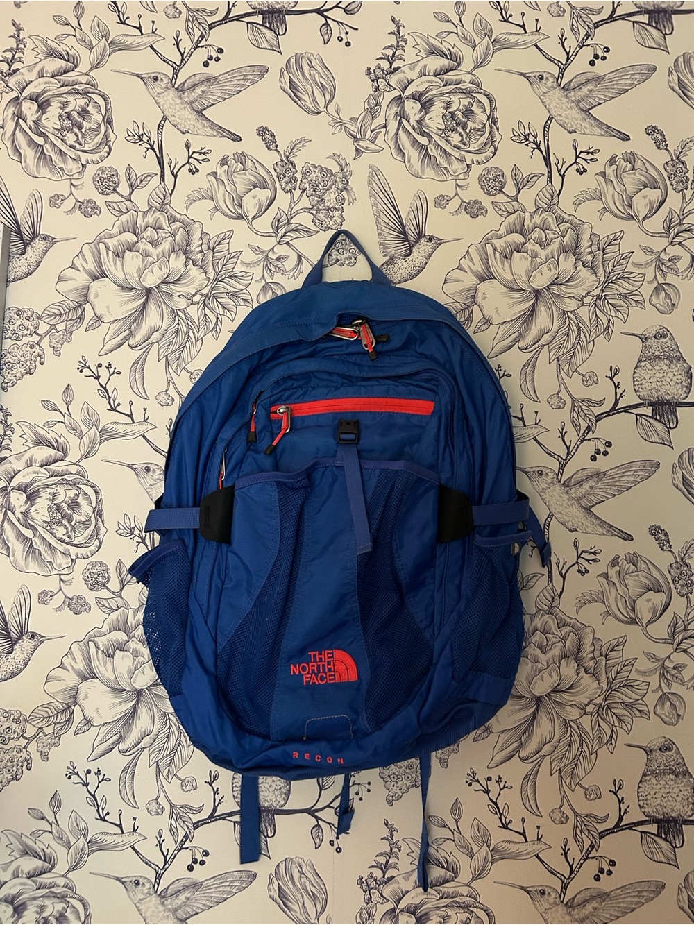 The North Face Blue Backpack with Red Accents